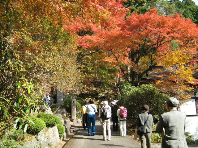 仙石原長安寺